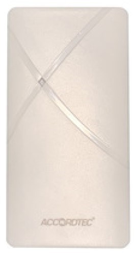 Считыватель  AccordTec AT-PR500EM GR 1003084