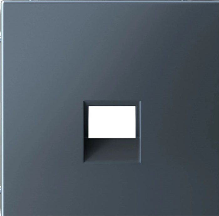 Накладка розетки компьютерной  Systeme Electric GAL000784 1178913