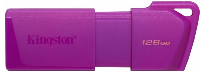 Накопитель USB 3.2 128GB Kingston KC-U2L128-7LP 1117824