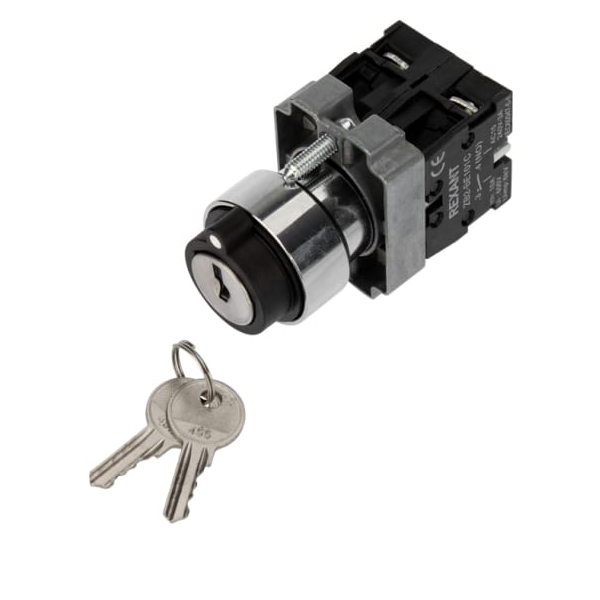 Переключатель  Rexant 36-5553 1081295