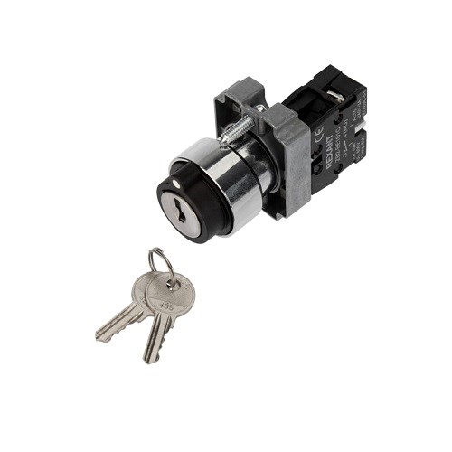 Переключатель  Rexant 36-5552 1081293