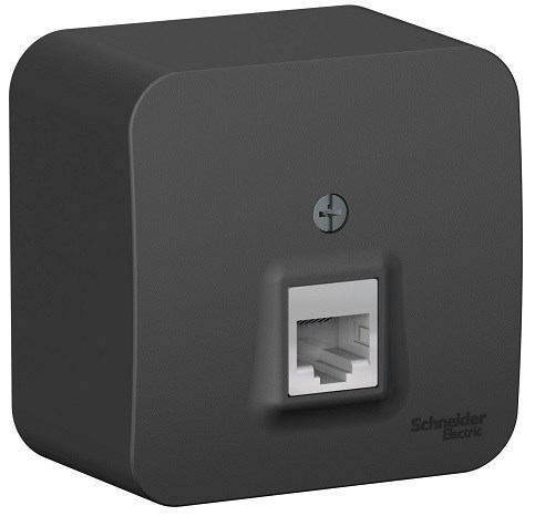 Розетка  Systeme Electric BLNIA045006 600506