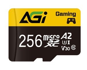 Карта памяти MicroSDXC 256GB AGI AGI256GGSTF138 1097747
