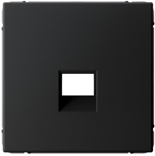 Накладка розетки компьютерной  Systeme Electric GAL001084 1156245