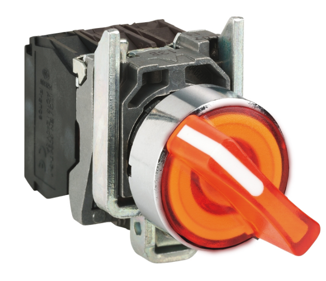 Переключатель  Schneider Electric XB4BK125B5 838424