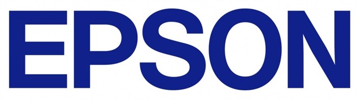 Печатающая головка  Epson F078010/F078020 459336