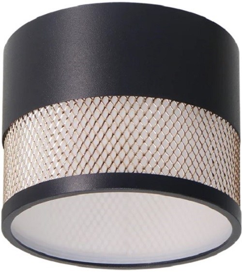 Светильник настенно-потолочный WOLTA WSL-GX53/12BG 1202421