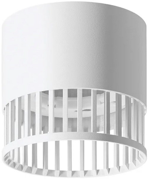 Светильник настенно-потолочный WOLTA WSL-GX53/19W 1202431