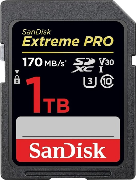 Карта памяти SDXC 1TB SanDisk SDSDXXY-1T00-GN4IN 1197077