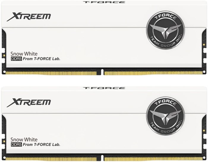 Модуль памяти DDR5 32GB (2*16GB) Team Group FFWD532G7600HC36FDC01 1133251