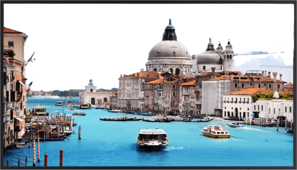 Монитор 42,5" Dahua DHI-LM43-S200 1103520