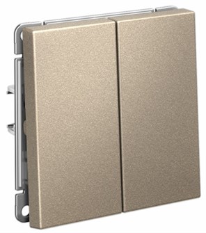 Выключатель двухклавишный  Systeme Electric GAL000551S 1226306