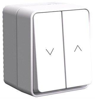 Выключатель двухклавишный для жалюзи Systeme Electric ATN540119 1155956