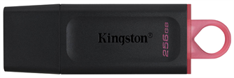 Накопитель USB 3.2 256GB Kingston DataTraveler Exodia 815489
