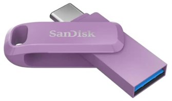 Накопитель USB 3.1 256GB SanDisk SDDDC3-256G-G46L 1212197