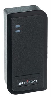 Считыватель  Skudo SK-RP300EHM 1215295