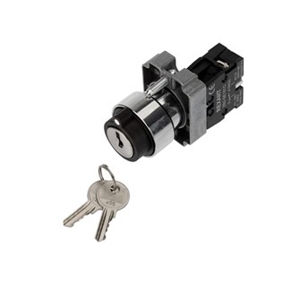 Переключатель  Rexant 36-5552 1081293