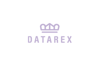 Ввод  Datarex DR-465001 832377