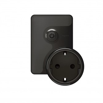 Розетка  Legrand 064840 813345