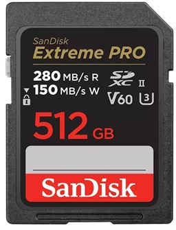 Карта памяти SDXC 512GB SanDisk SDSDXEP-512G-GN4IN 1081018