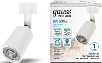 Светильник  Gauss TR089 879655