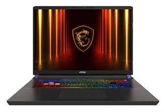Ноутбук  MSI Vector A16 HX A8WHG-033XRU 16 