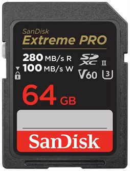 Карта памяти SDXC 64GB SanDisk SDSDXEP-064G-GN4IN 1043312