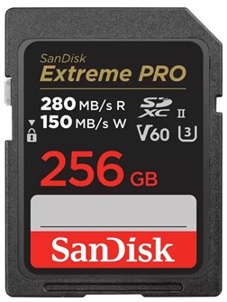 Карта памяти SDXC 256GB SanDisk SDSDXEP-256G-GN4IN 1043314