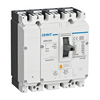 Автоматический выключатель в литом корпусе  CHINT 271649 1137145