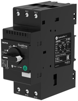 Автоматический выключатель для защиты двигателя  Systeme Electric GM3P65 1149694
