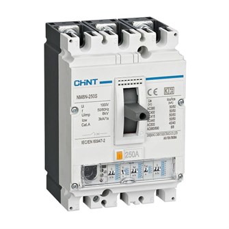 Автоматический выключатель в литом корпусе  CHINT 269438 1137792