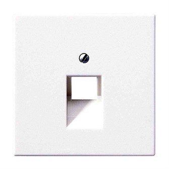 Накладка  Jung LS969-1UAWW 852451