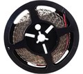 Лента светодиодная  Navigator NLS-3528CW120-9.6-IP20-12V-Pro 962561