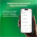 Выключатель  Digma DiSwitch 1047529