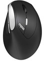 Мышь Wireless Rapoo EV250 1113655