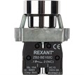 Кнопка  Rexant 36-5521 1080979
