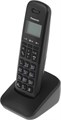 Радиотелефон  Panasonic KX-TGB610RUB 1204834