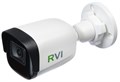 Видеокамера IP RVi RVi-1NCT2022 (4) white 1232643