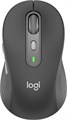 Мышь Wireless Logitech M750 1118777