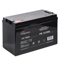 Батарея для ИБП PROMETHEUS ENERGY РЕ12100L 953853