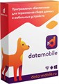 ПО  DataMobile DMOnlineLite-DMOnline12m 1220982