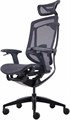 Кресло  GT Chair InFlex X 1185981