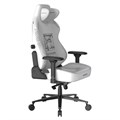 Кресло игровое DxRacer CRA/DL5000/THINKER 1223004