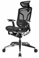 Кресло  GT Chair Dvary Pro X 1185976