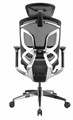 Кресло  GT Chair Dvary Pro X 1185976