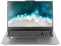 Ноутбук  Nerpa Caspica I552-17 17.3 ", Core i5, 8 Гб RAM, 256 Гб SSD, Iris Xe Graphics, Серый 1047384