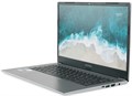 Ноутбук  Nerpa Caspica I752-14 14 ", Core i7, 32 Гб RAM, 512 Гб SSD, Iris Xe Graphics, Серый 1195662