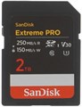Карта памяти  SanDisk SDSDXXD-2T00-GN4IN 1227906