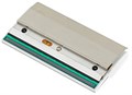 Печатающая головка  TSC PH-MB240-0002 1217870